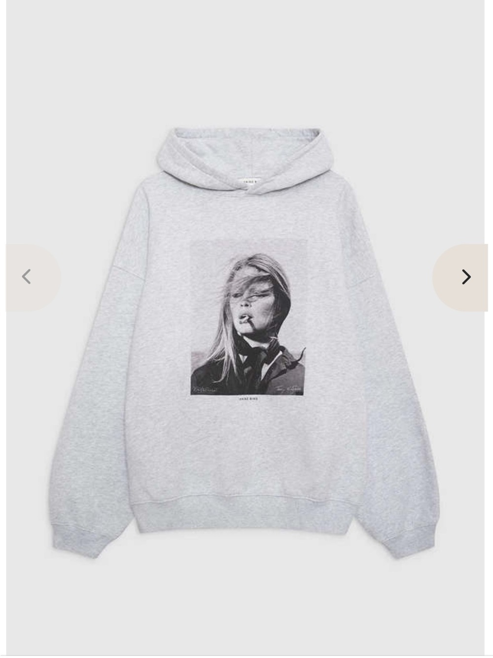 Anine Bing Light Gray Harvey Graphic Hoodie Sweatshirt